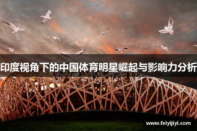 印度视角下的中国体育明星崛起与影响力分析