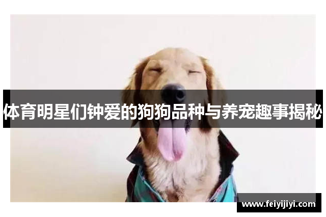 体育明星们钟爱的狗狗品种与养宠趣事揭秘