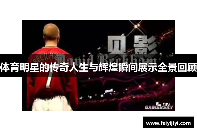 体育明星的传奇人生与辉煌瞬间展示全景回顾