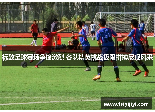 标致足球赛场争锋激烈 各队精英挑战极限拼搏展现风采