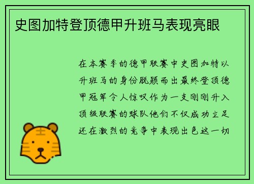史图加特登顶德甲升班马表现亮眼